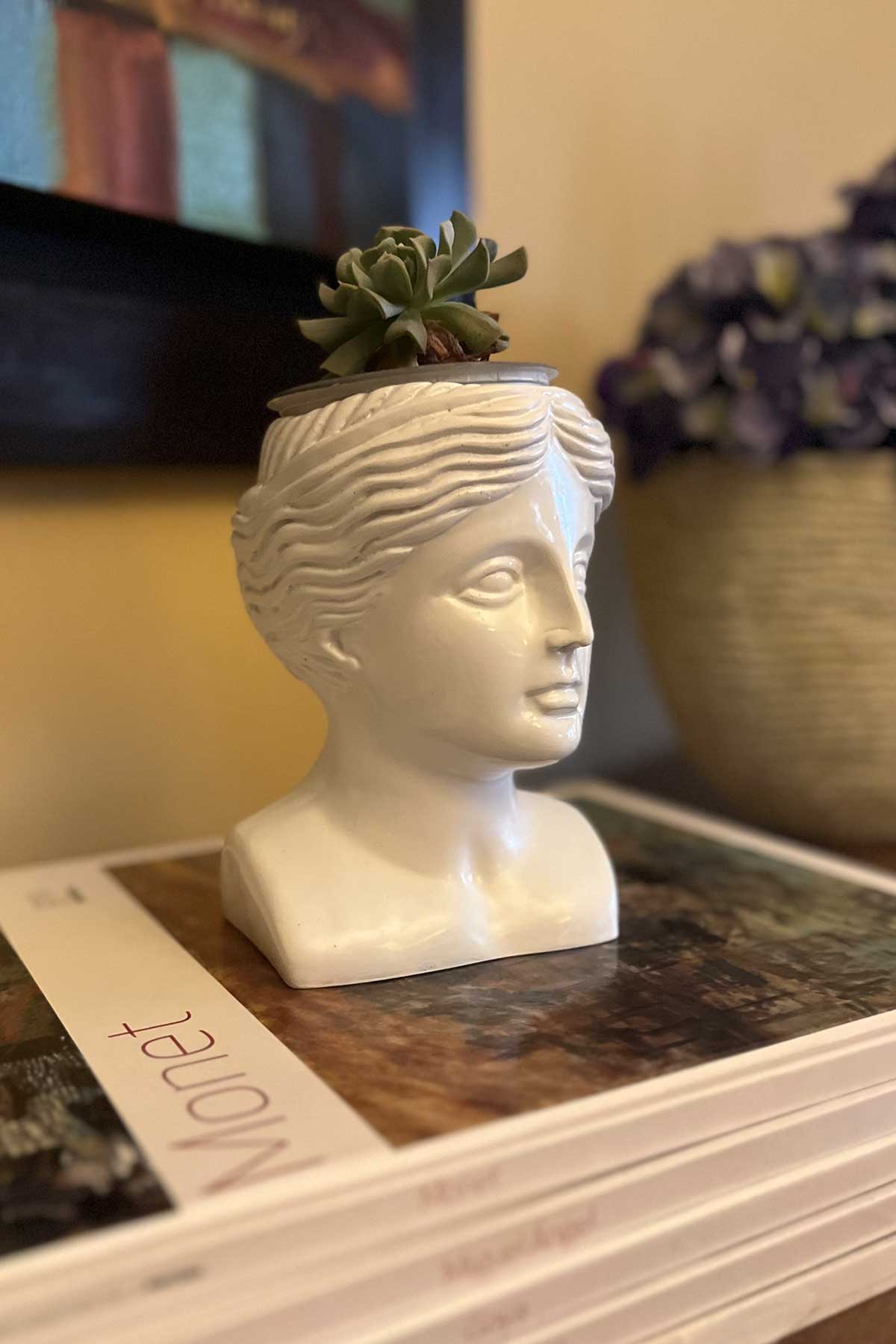 Venus Head Plant Pot